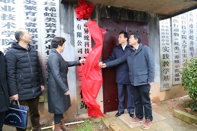 ׌á˲Źա ˲RەՄlչ